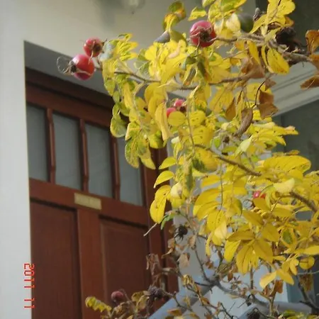 Apartament Wild Rose アパート ソポト