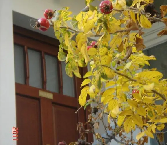 Apartament Wild Rose Apartamento Sopot